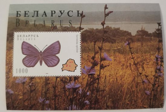 Блок Бражник прозерпина