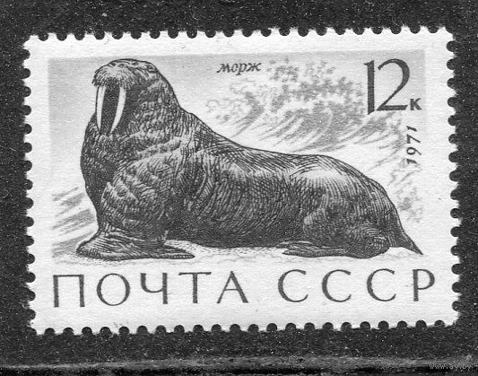 СССР 1971. Морская Фауна. Морж