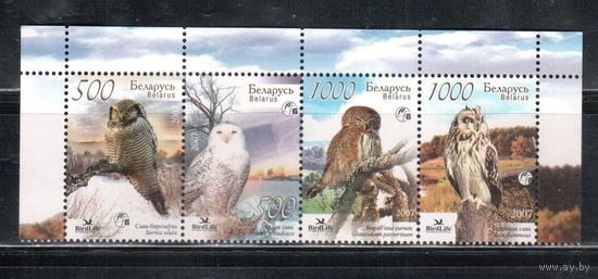 Беларусь-2007,(Мих.672-675) **  , Фауна, Птицы, Совы
