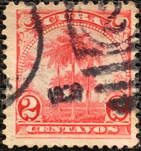 ЦІКАВІЦЬ АБМЕН! 1899, King Palm (2)