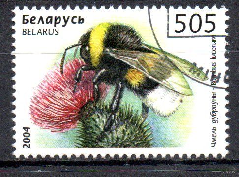 Пчелы, осы, шмели Беларусь 2004 год (574) 1 марка