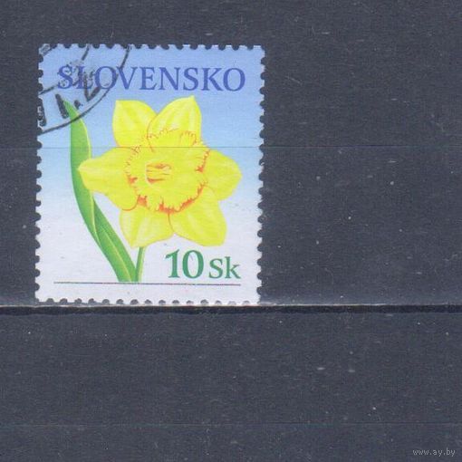 [1107] Словакия 2006. Флора.Цветы.Нарцисс. Одиночный выпуск. Гашеная марка.