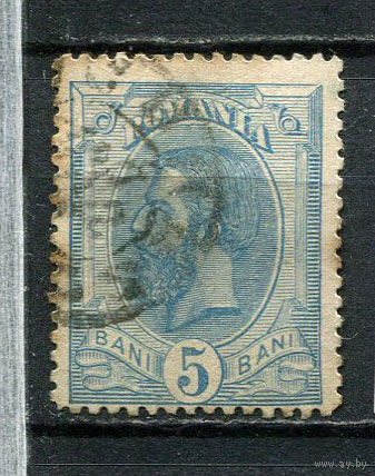 Королевство Румыния - 1893/1898 - Король Кароль I 5B - [Mi.102y] - 1 марка. Гашеная.  (Лот 17Gs)-T41P15