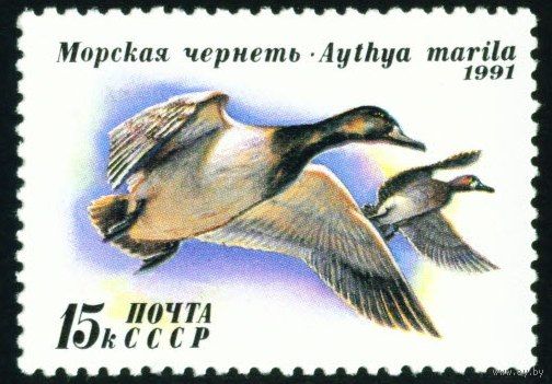 Утки СССР 1991 год 1 марка