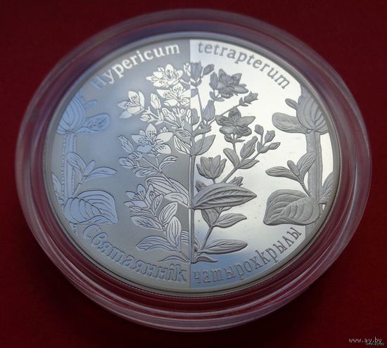 ТОРГ! 20 рублей Зверобой четырехкрылый! 2013! ВОЗМОЖЕН ОБМЕН!