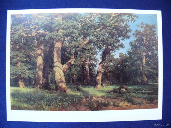 Шишкин И. И., Дубовая роща, 1980.