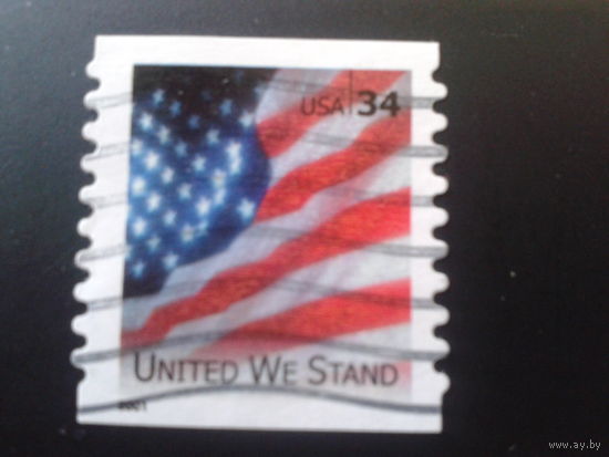 США 2001 стандарт, флаг