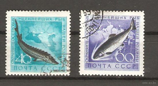 СССР. 1959.Фауна СССР. Рыбы .Состояние отличное.ГаШ.