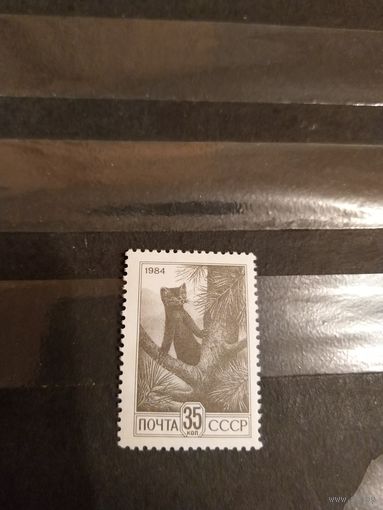 1988 СССР Загорский 5480A простая бумага фауна чистая MNH** (с-13)