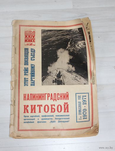 Газета "Калининградский китобой".