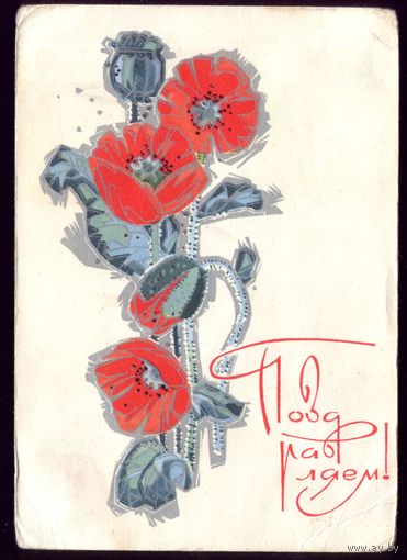 1969 год И.Искринская Поздравляем!