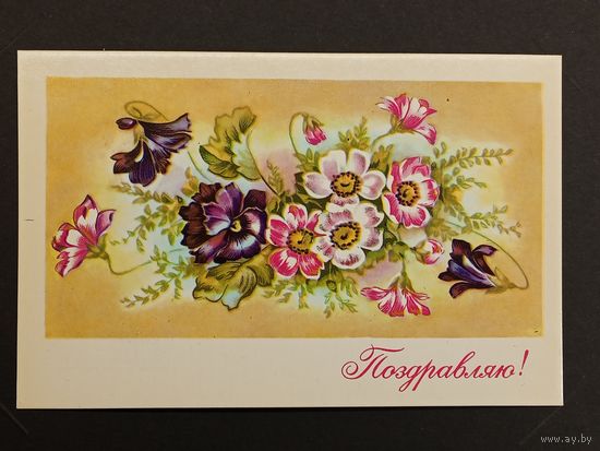 Поздравляю! 1973 год Дергилева