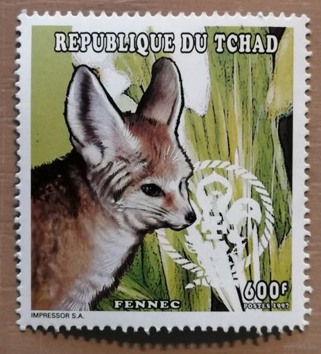 Марка Чад 1997 г., серия -- Фауна Сахары, Фенек -- песчаный лис.