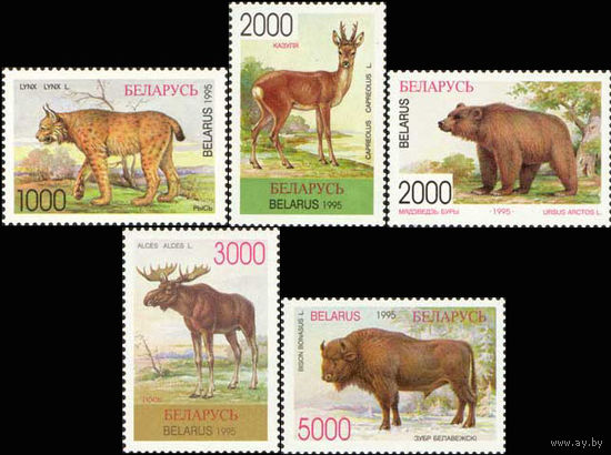 Фауна Беларусь 1996 год (125-129) серия из 5 марок
