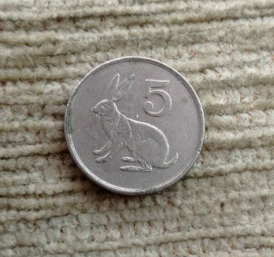 Werty71 Зимбабве 5 центов 1996 Заяц