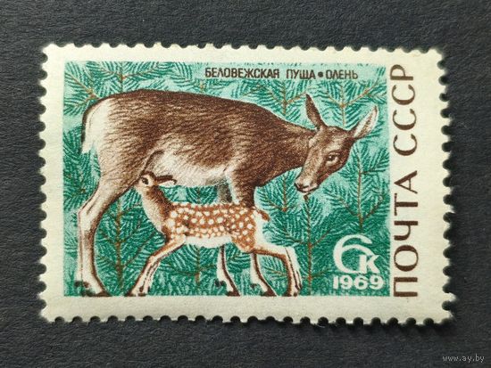 1969 СССР. Природный заповедник "Беловежская пуща". Благородный олень