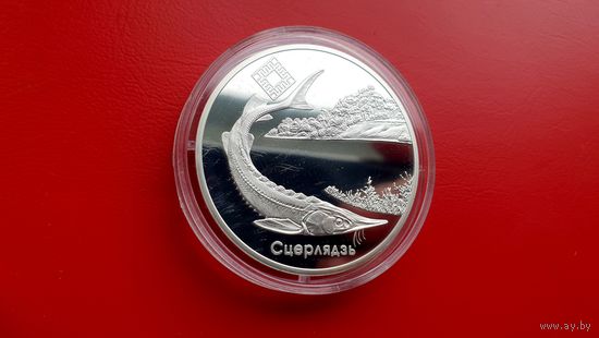 Стерлядь - Заказник "Днепро-Сожский" 20 рублей - Серебро