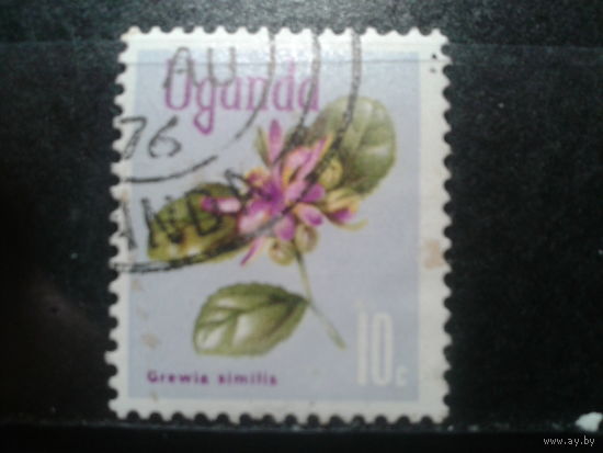 Уганда,1969. Цветок растения