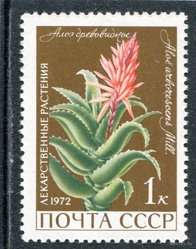 СССР 1972. Лекарственные растения. Алоэ древовидное