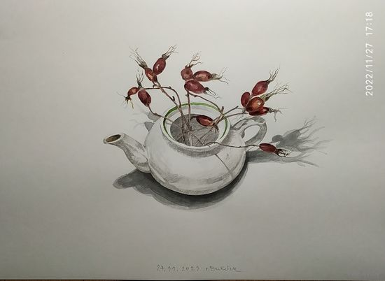 Графика .30/40 ,"чай с шиповником".
