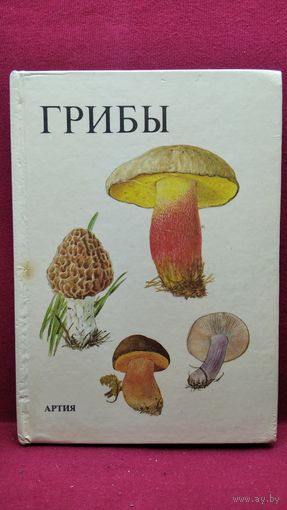 Грибы