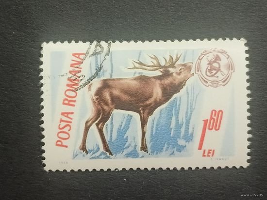 Румыния 1965. Дикие животные и трофеи
