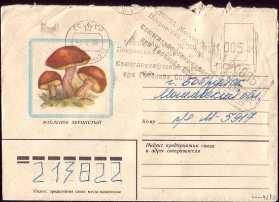1983 год Маслёнок