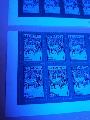 (Ф30-28) Стандарт. 2000. 1р. Тип II + неизвестный тип. Комплект из двух марок