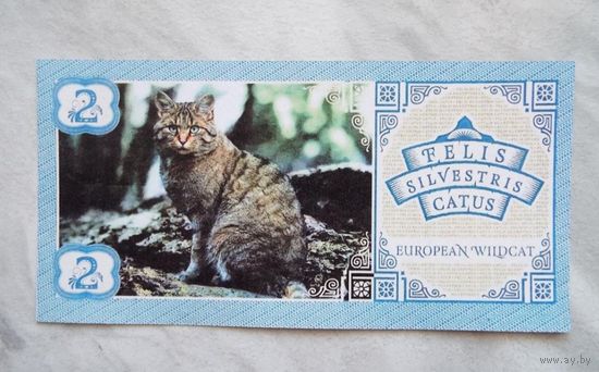2 котуса 2016