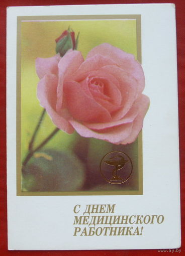 С днём медицинского работника! Чистая. Двойная. 1989 года. Родионов. 1342.