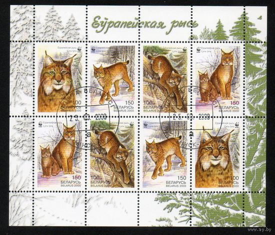 Европейская рысь Беларусь 2000 год (384-387) малый лист из 2-х серий