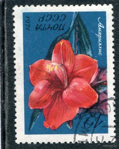 СССР 1971.. Флора. Амариллис