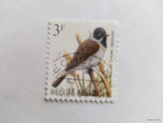 Бельгия 1991