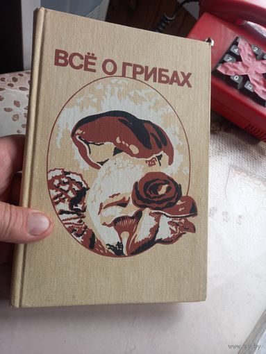Книга Все о грибах