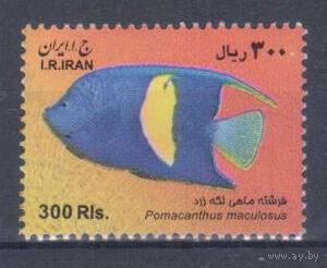 [239] Иран 2009. Фауна.Рыба. Гашеная марка.