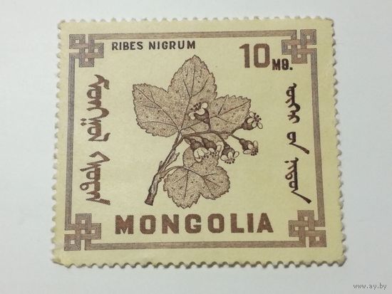 Монголия 1968. Ягоды Монголии