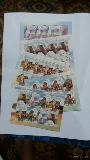 РБ  2007 5 м/л  совы   К
