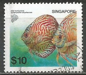 Сингапур. Рыба Красный Дискус равнополосый. 2002г. Mi#1181.