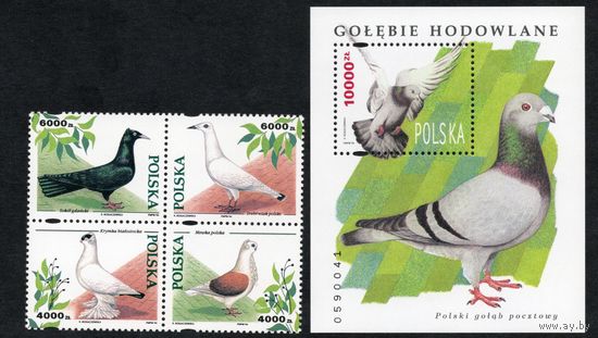 Польша 1994. Фауна. Птицы. Блок+4 марки. Mi 3511-15. Блок 126
