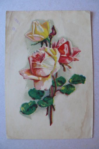 Цветы, 1952, подписана.