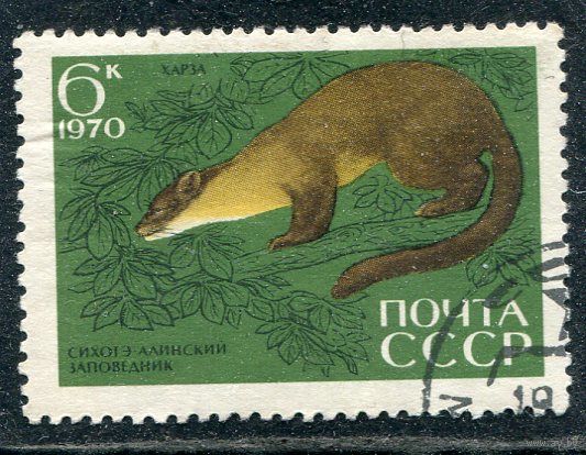 СССР 1970.. Заповедник. Куница харза