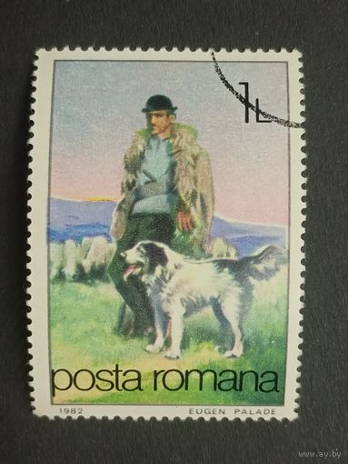 Румыния 1982. Собаки на работе
