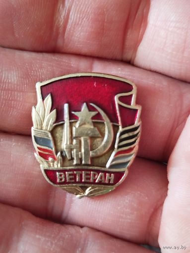 Ветеран