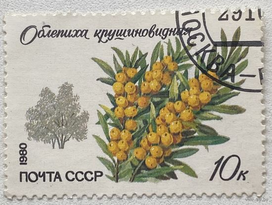 Марка СССР 1980 г. Облепиха крушиновидная