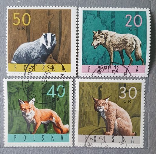 Польша лесные животные 4шт