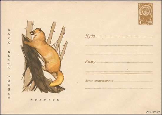 Художественный маркированный конверт СССР N 4603 (27.03.1967) Пушные звери СССР  Колонок