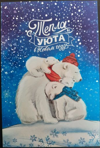 Тепла и уюта в Новом году!. Россия. 2018 г.