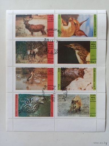 Дофар. Фауна.  Животные. Малый лист