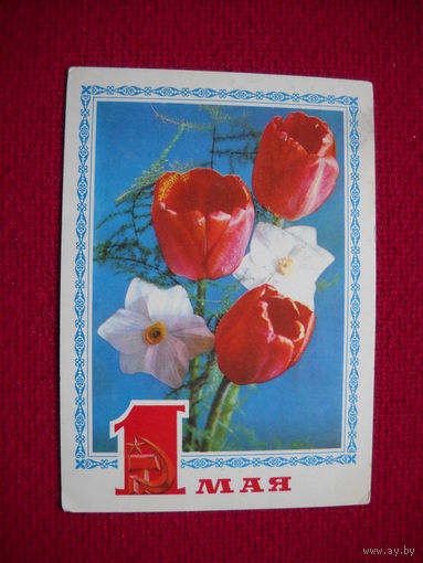1 Мая! Васильев. Костенко. 1977 г.