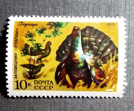 Чистые марки СССР